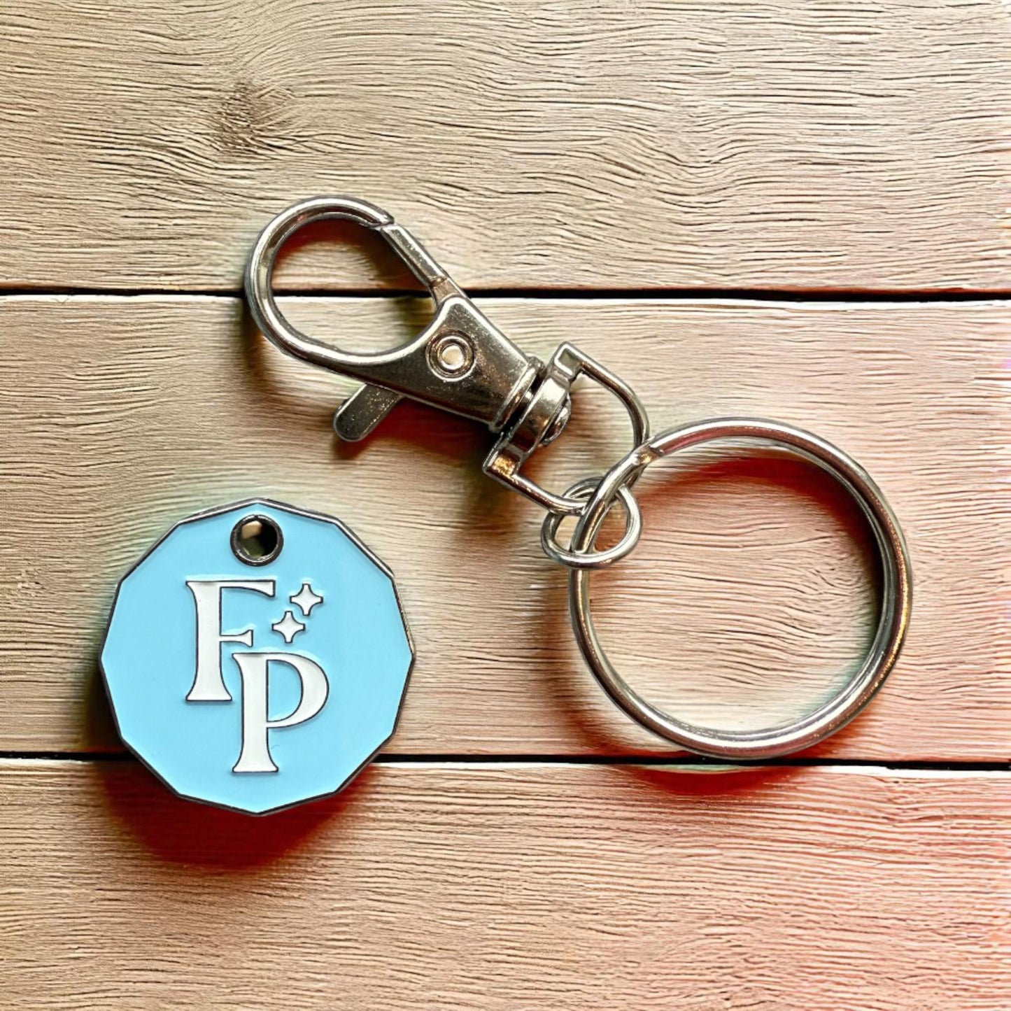 Capybara £ pound trolley coin - Keyring