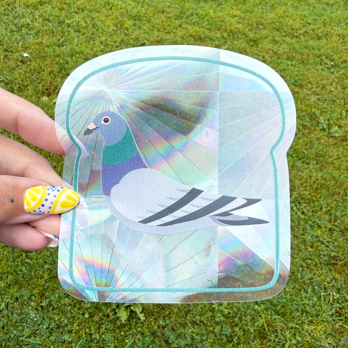 Pigeon Suncatcher | Rainbow Sun Catcher | Window Decal | Window Sticker |
