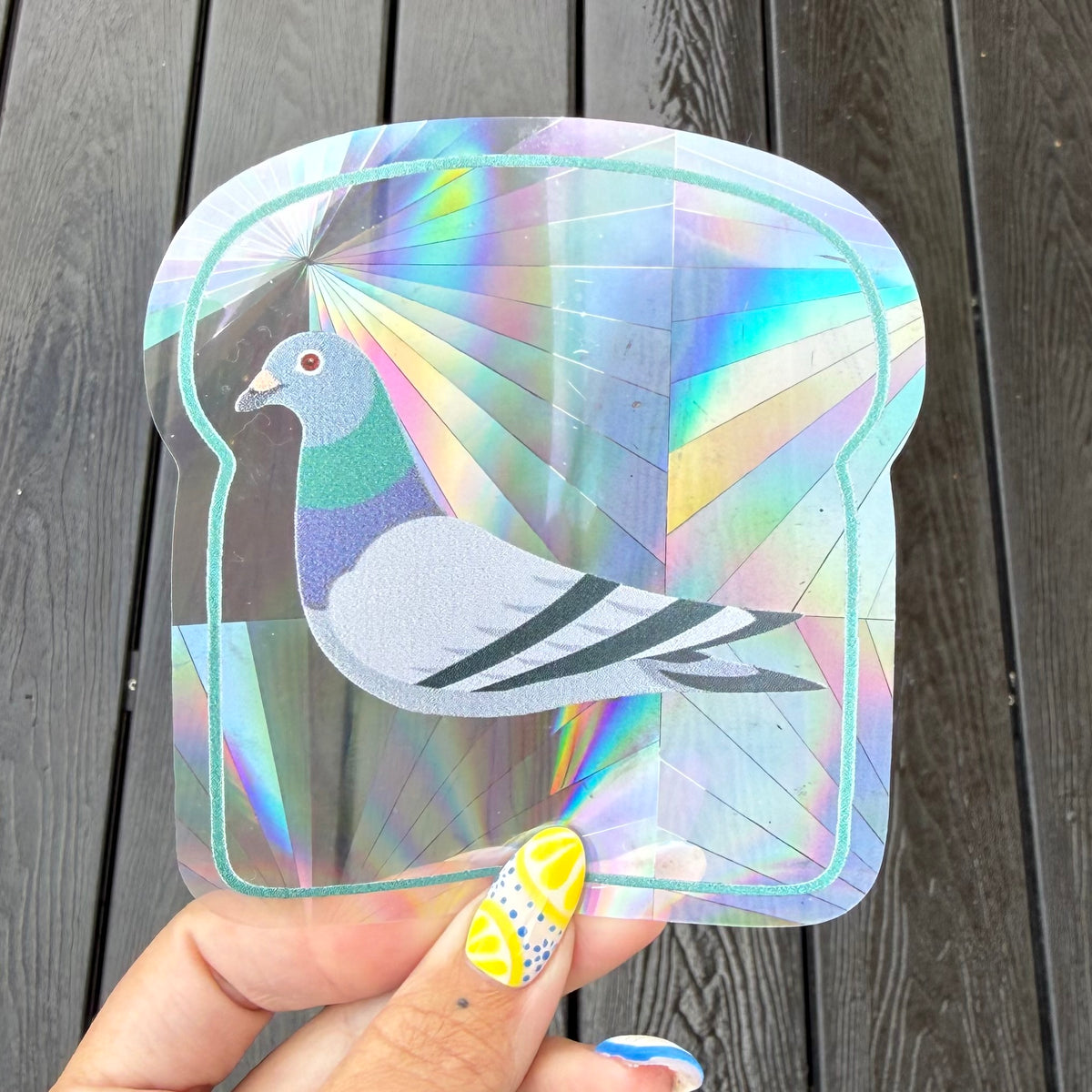 Pigeon Suncatcher | Rainbow Sun Catcher | Window Decal | Window Sticker |